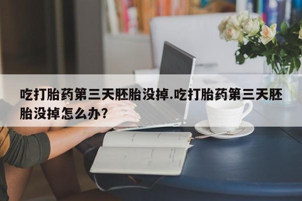 流产药使用吃打胎药第三天胚胎没掉.吃打胎药第三天胚胎没掉怎么办？