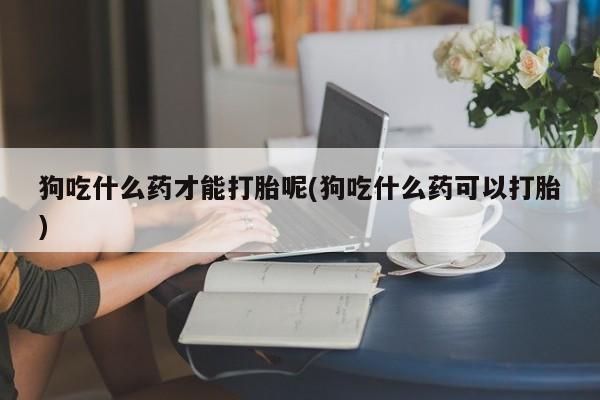 流产药使用狗吃什么药才能打胎呢(狗吃什么药可以打胎)