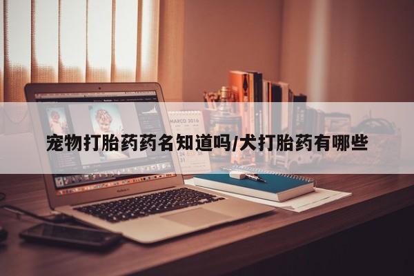 流产药使用宠物打胎药药名知道吗/犬打胎药有哪些