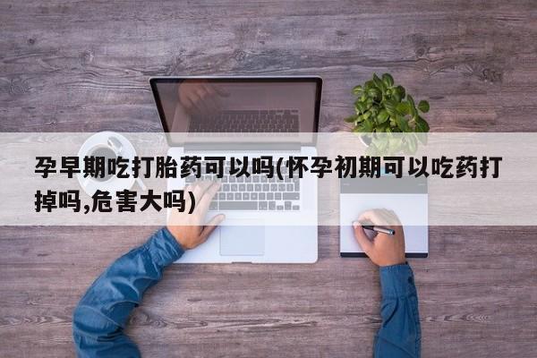 流产药使用孕早期吃打胎药可以吗(怀孕初期可以吃药打掉吗,危害大吗)
